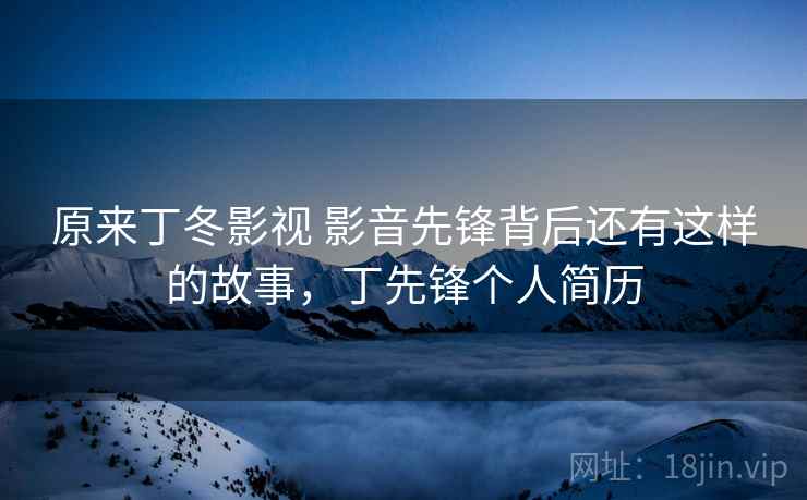 原来丁冬影视 影音先锋背后还有这样的故事，丁先锋个人简历