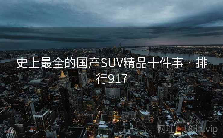 史上最全的国产SUV精品十件事 · 排行917