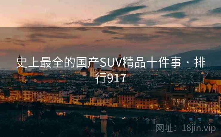 史上最全的国产SUV精品十件事 · 排行917
